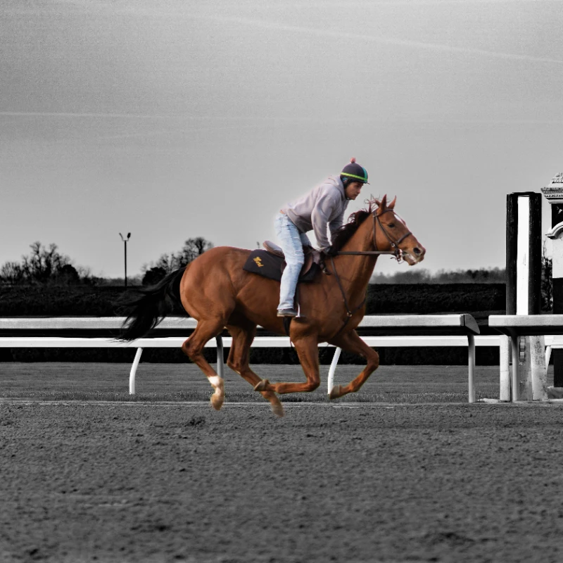 Derby