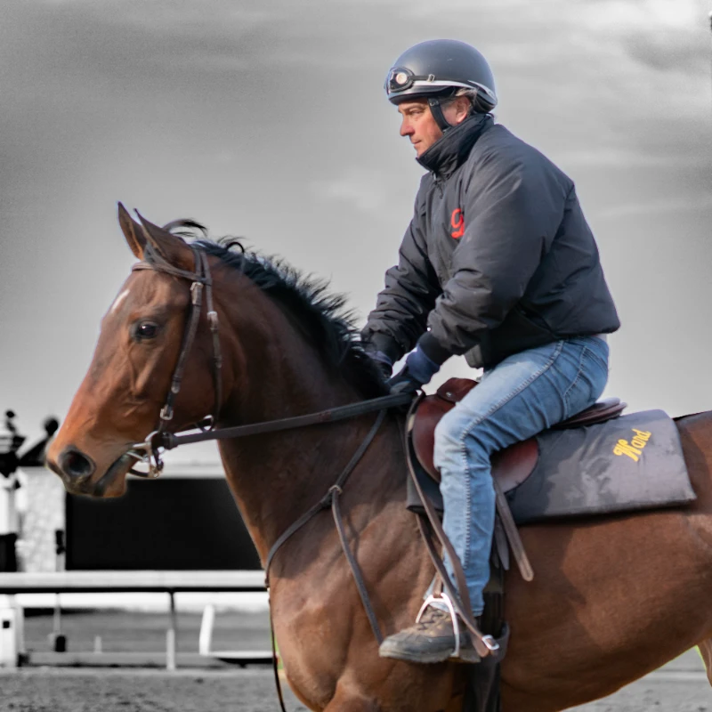 Horse and Man