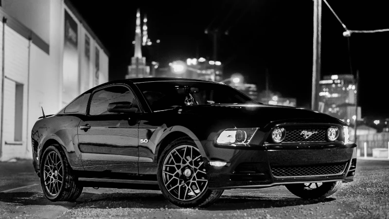 Mustang at Night