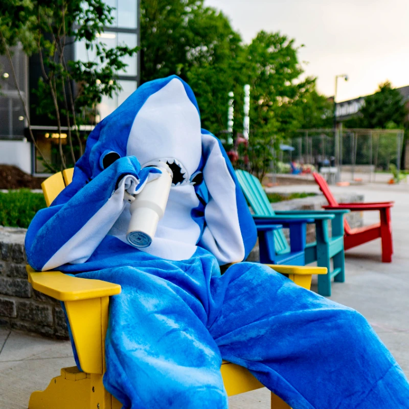 Shark on Vacation